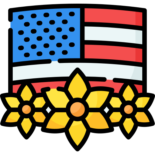 アメリカ合衆国 Special Lineal color icon