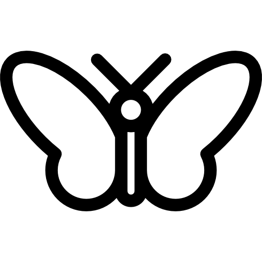 Buttterfly Basic Rounded Lineal icon