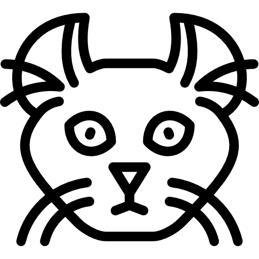 Pussy cat Special Lineal icon