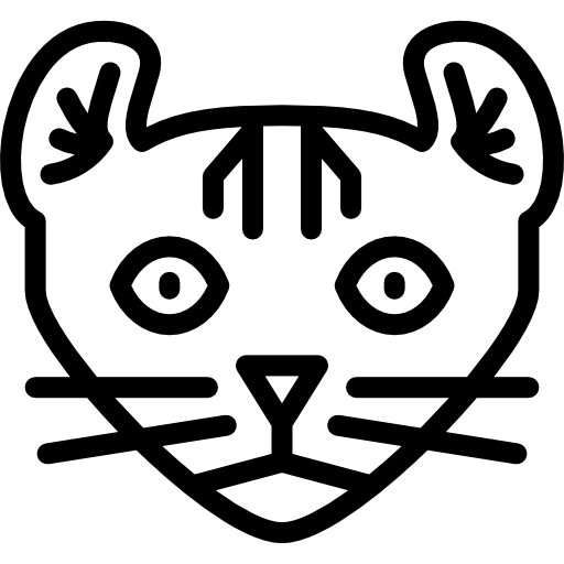 hooglander kat Special Lineal icoon