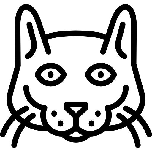 gato korat Special Lineal icono