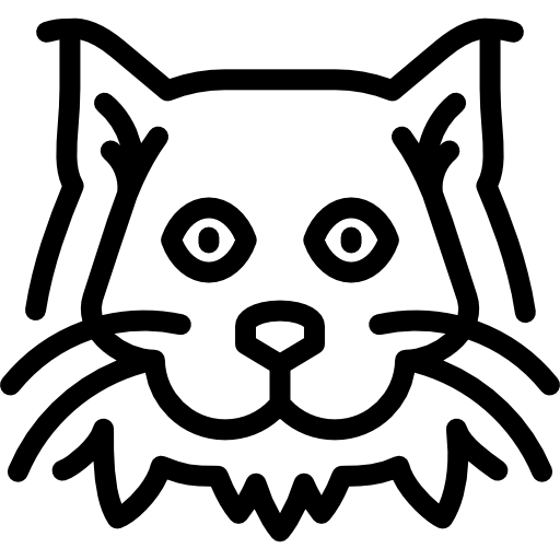 gato enano cordero Special Lineal icono