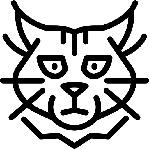 メインクーン猫 Special Lineal icon