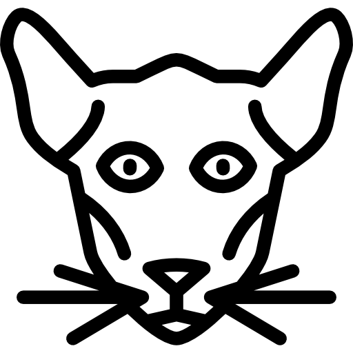 gato oriental Special Lineal icono