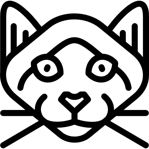 gato siames Special Lineal icono