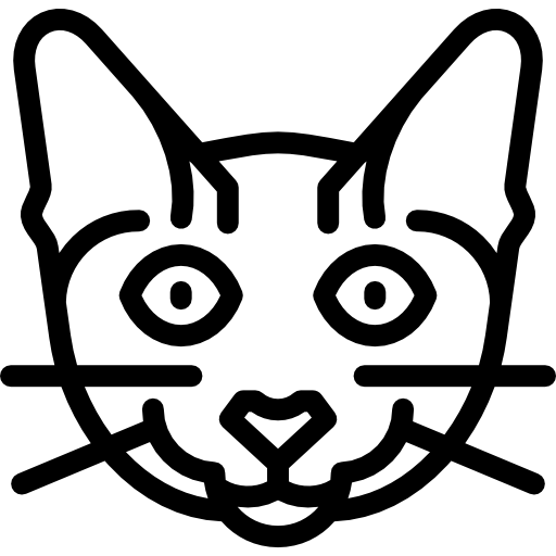 Toyger cat Special Lineal icon