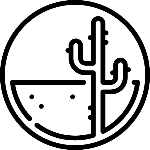 사막 Special Lineal icon