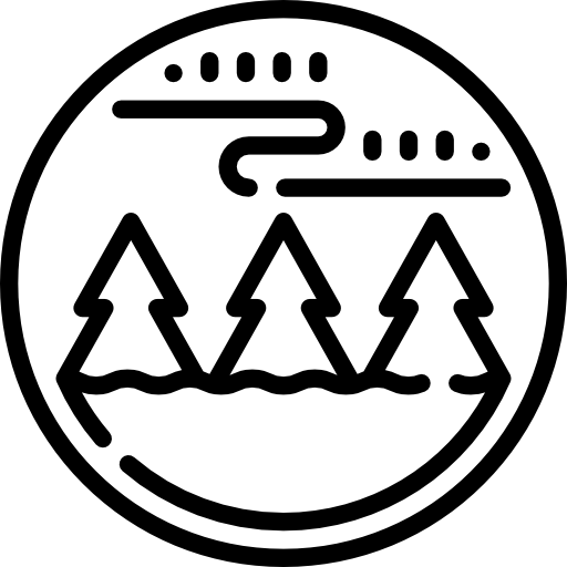 북극광 Special Lineal icon