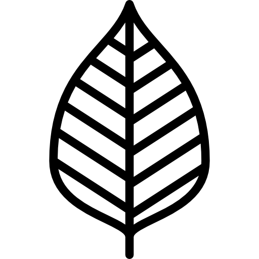 자작 나무 Special Lineal icon