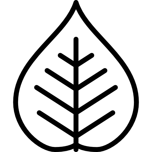 ポプラ Special Lineal icon