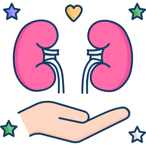 Kidney SBTS2018 Lineal Color icon