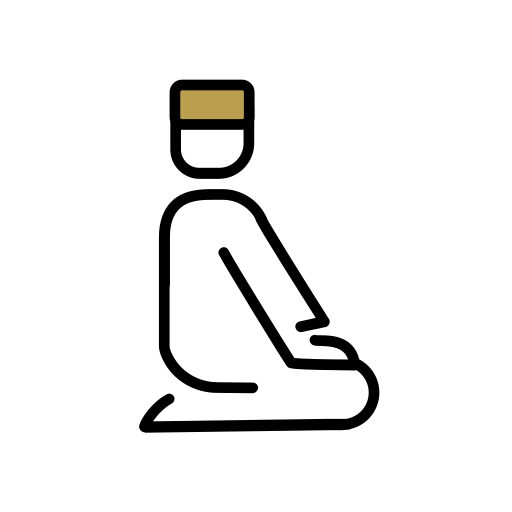 サラー Generic color lineal-color icon