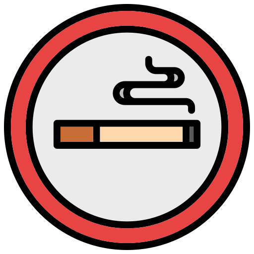 Smoking area Generic color lineal-color icon