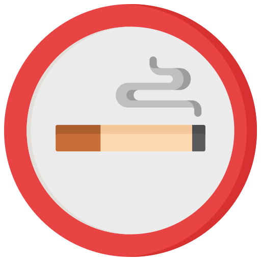 area fumatori Generic color fill icona