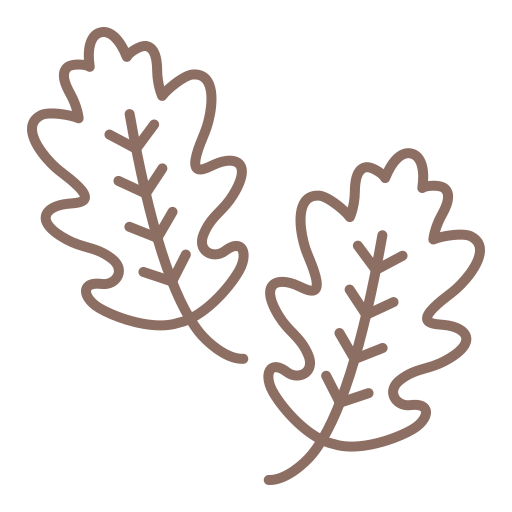 참나무 잎 Generic color outline icon