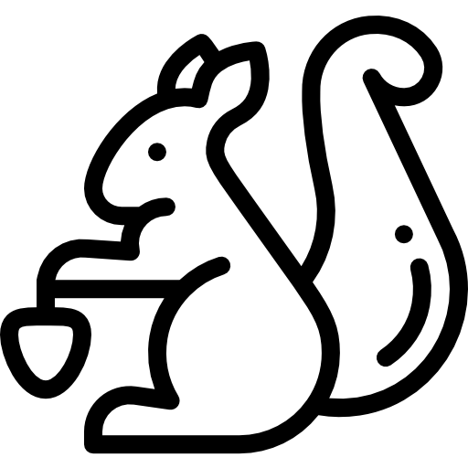 청설모 Detailed Rounded Lineal icon