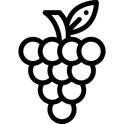 ブドウ Detailed Rounded Lineal icon