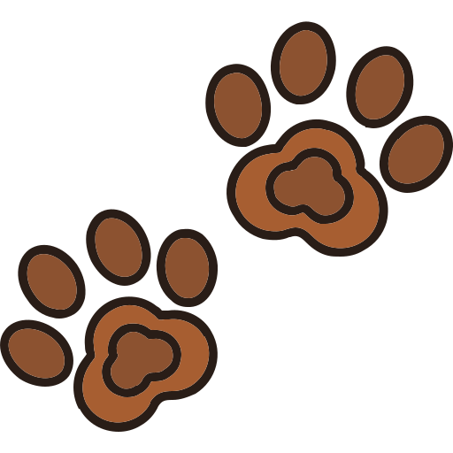 Footprint Generic color lineal-color icon