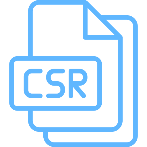 csr Generic color outline icon