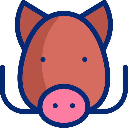 Boar Basic Accent Lineal Color icon