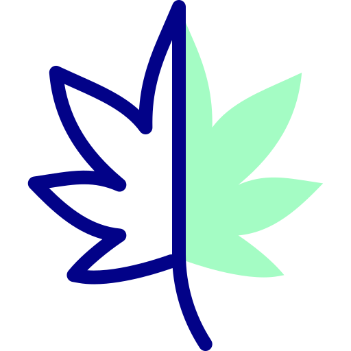 cannabis Detailed Mixed Lineal color icon