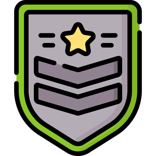 Badges Special Lineal color icon