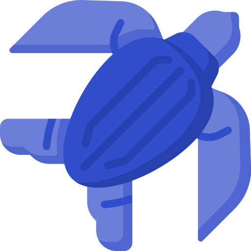ウミガメ Special Flat icon