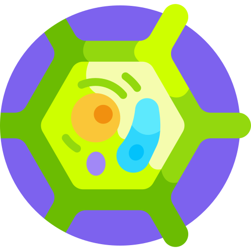 植物細胞 Detailed Flat Circular Flat icon