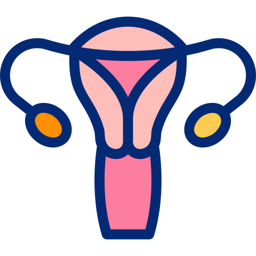 vrouwelijk voortplantingsorgaan Basic Accent Lineal Color icoon