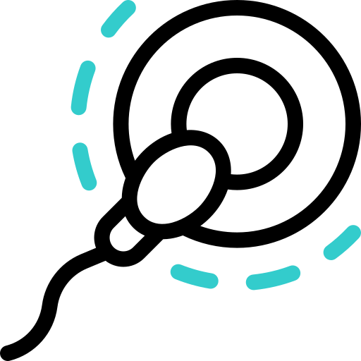 insémination Basic Accent Outline Icône