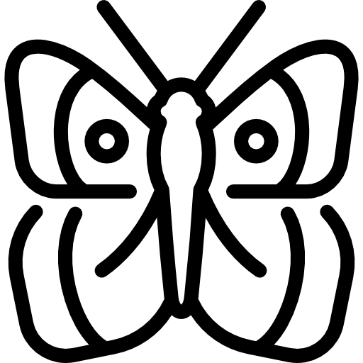 Затуманенная желтая бабочка Special Lineal иконка
