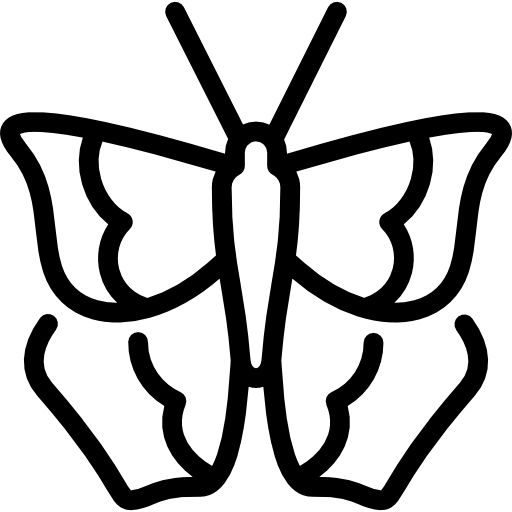kreuzer schmetterling Special Lineal icon