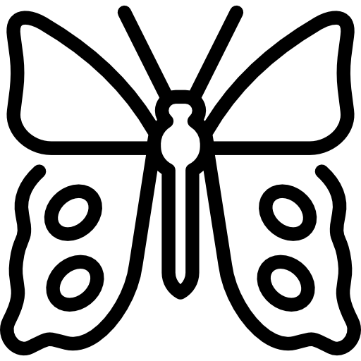 Lime butterfly Special Lineal icon