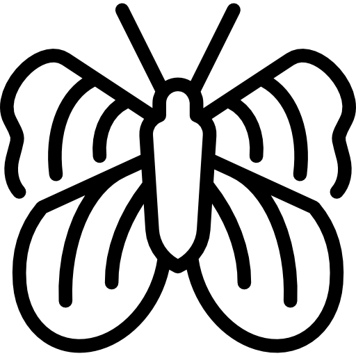 mariposa dama pintada Special Lineal icono