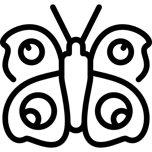 motyl paw Special Lineal ikona