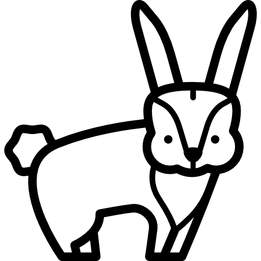 토끼 Special Lineal icon