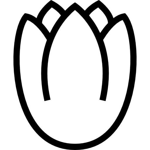 tulipán Special Lineal icono