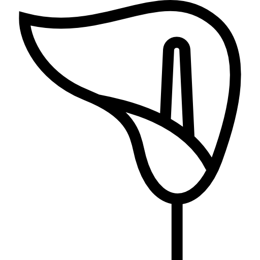 lirio Special Lineal icono