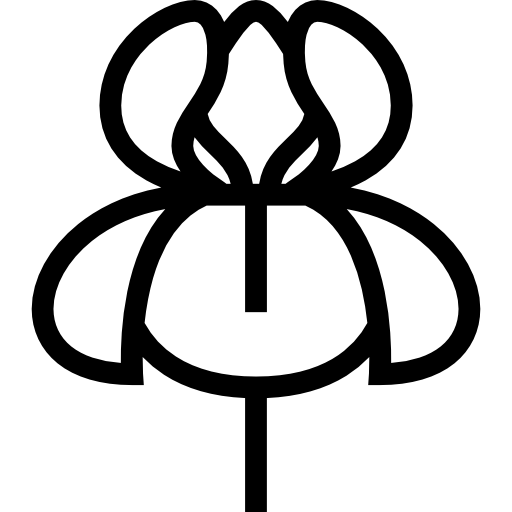 Orchid Special Lineal icon