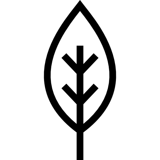 シラカバ Special Lineal icon