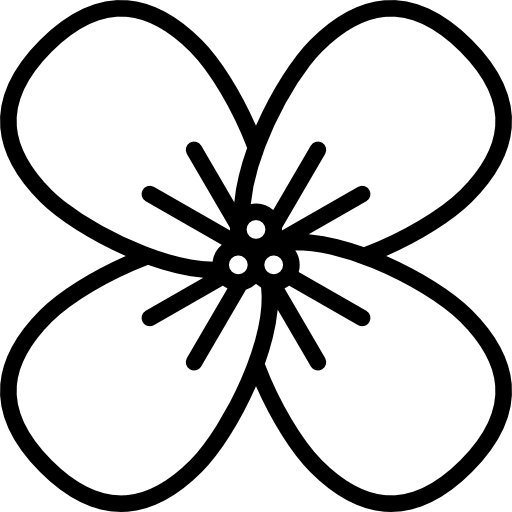 꽃무 Special Lineal icon