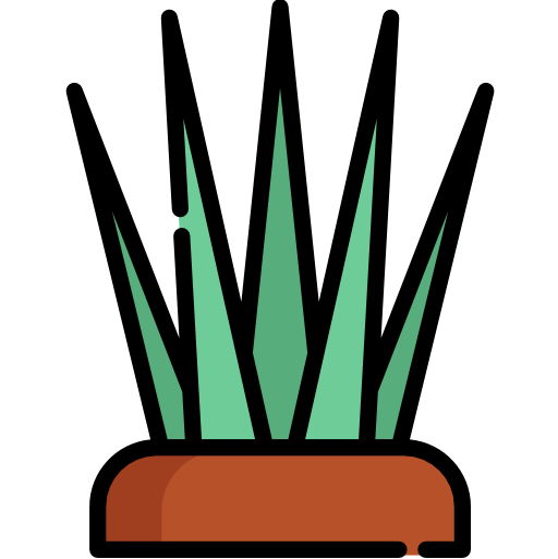 gras Special Lineal color icon