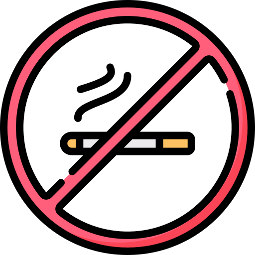 No smoking Special Lineal color icon