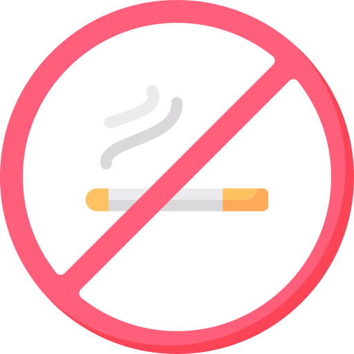no fumar Special Flat icono