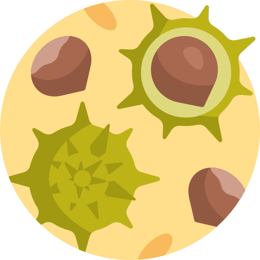 Nut Detailed Flat Circular Flat icon
