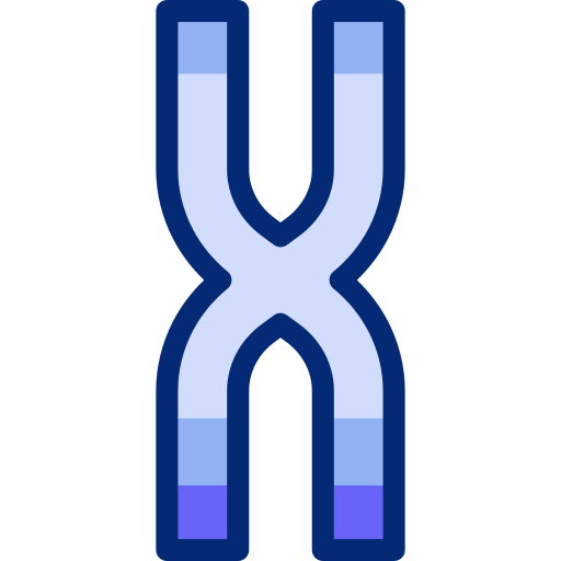chromosome Basic Accent Lineal Color Icône