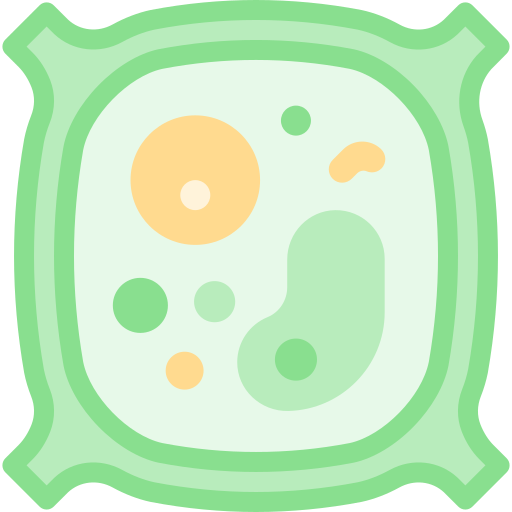 Растительная клетка Detailed color Lineal color иконка