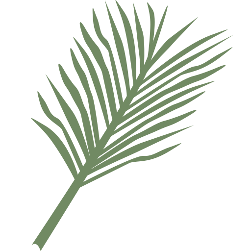 나뭇잎 Generic color fill icon