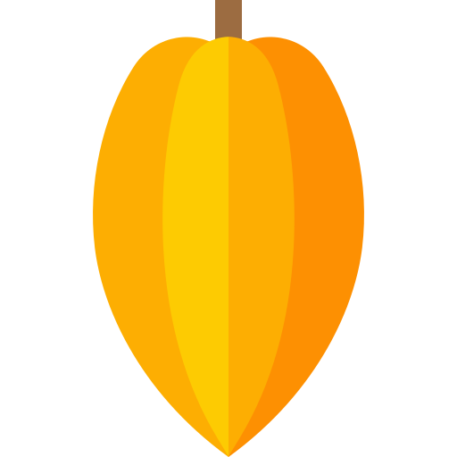 cacao Basic Straight Flat icono