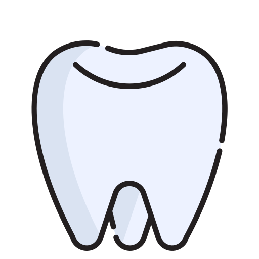 Molar Generic color lineal-color icon